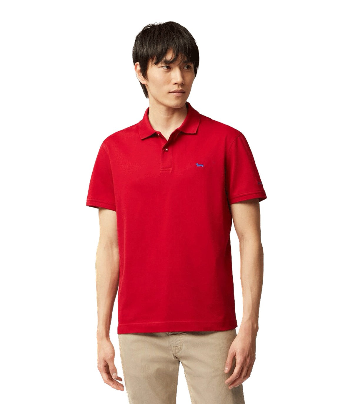 Polo da Uomo