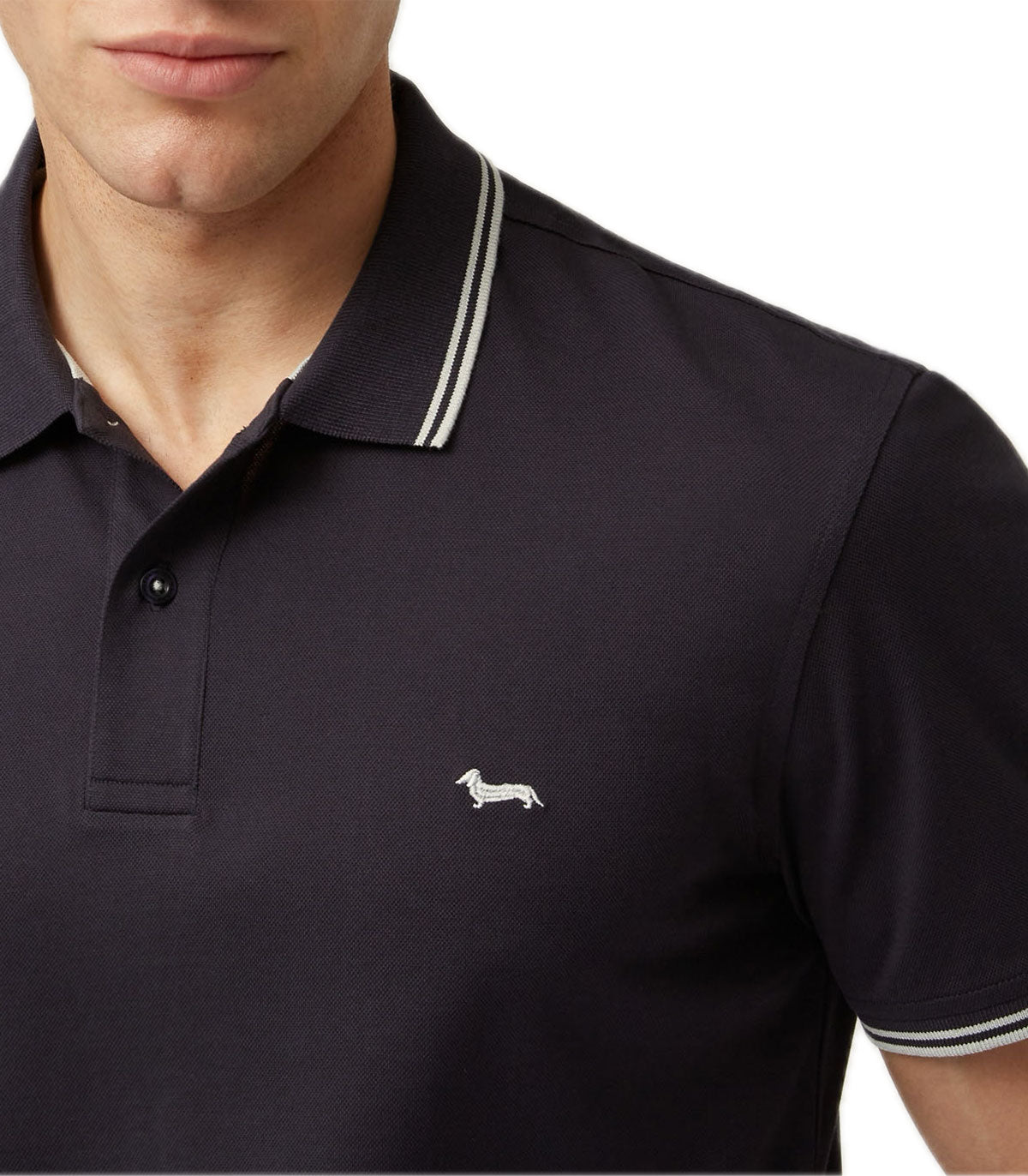 Polo Uomo Harmont&Blaine
