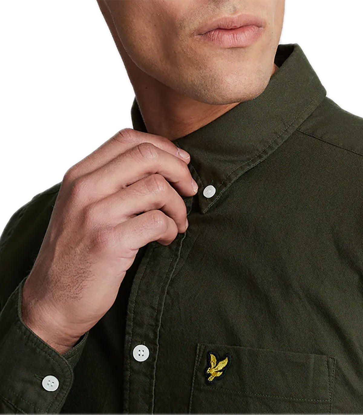 Camicia oxford Uomo Lyle scott