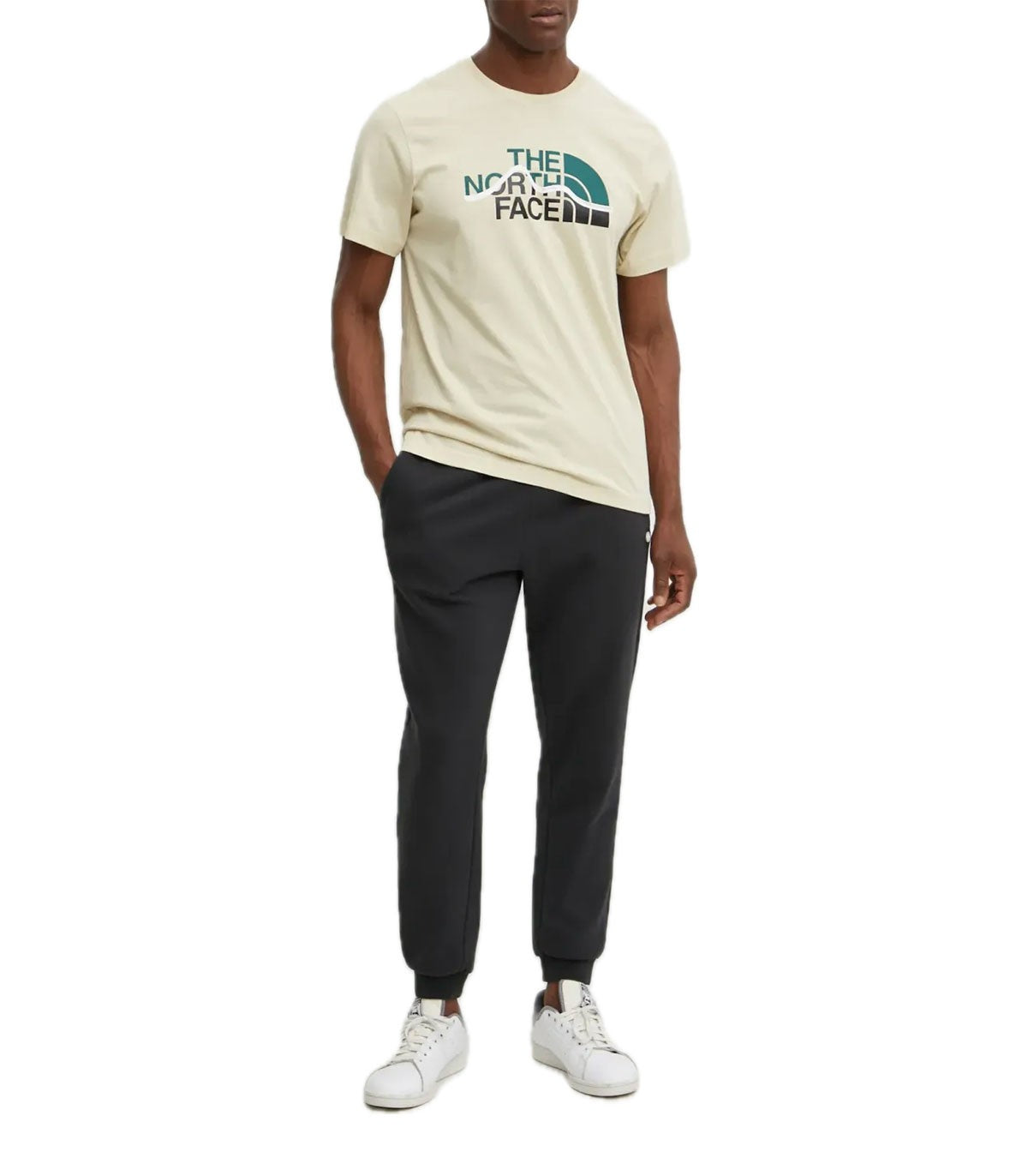 T-shirt Uomo The North Face Mountain
