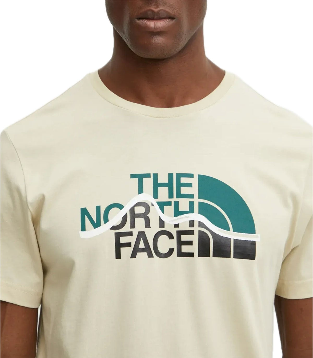 T-shirt Uomo The North Face Mountain