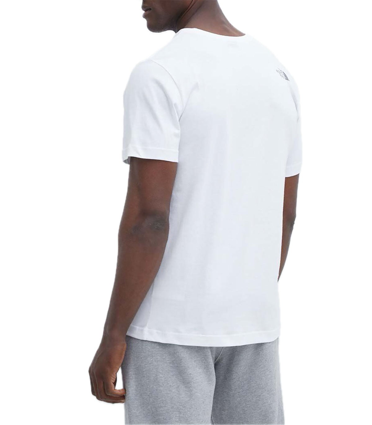 T-shirt Uomo The North Face Mountain