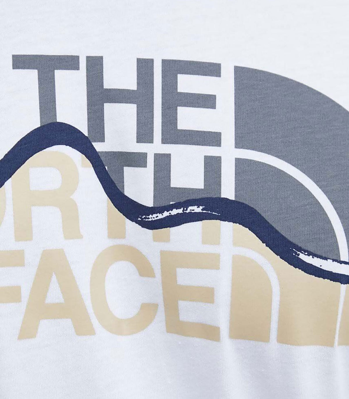 T-shirt Uomo The North Face Mountain