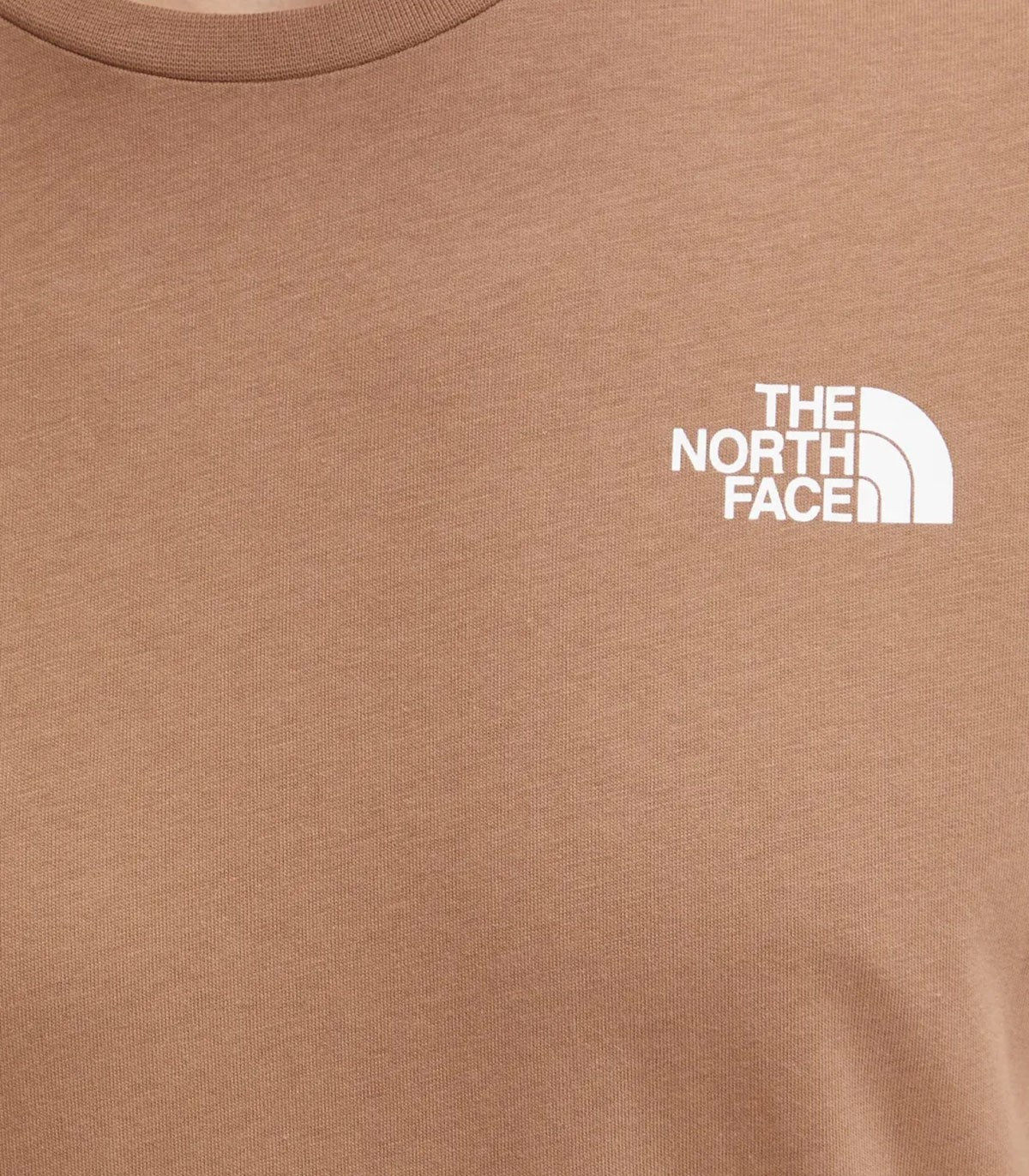 T-shirt Uomo The North Face Box Nse tee