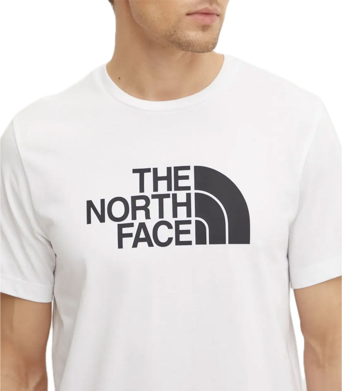 T-shirt Uomo The North Face Easy Tee