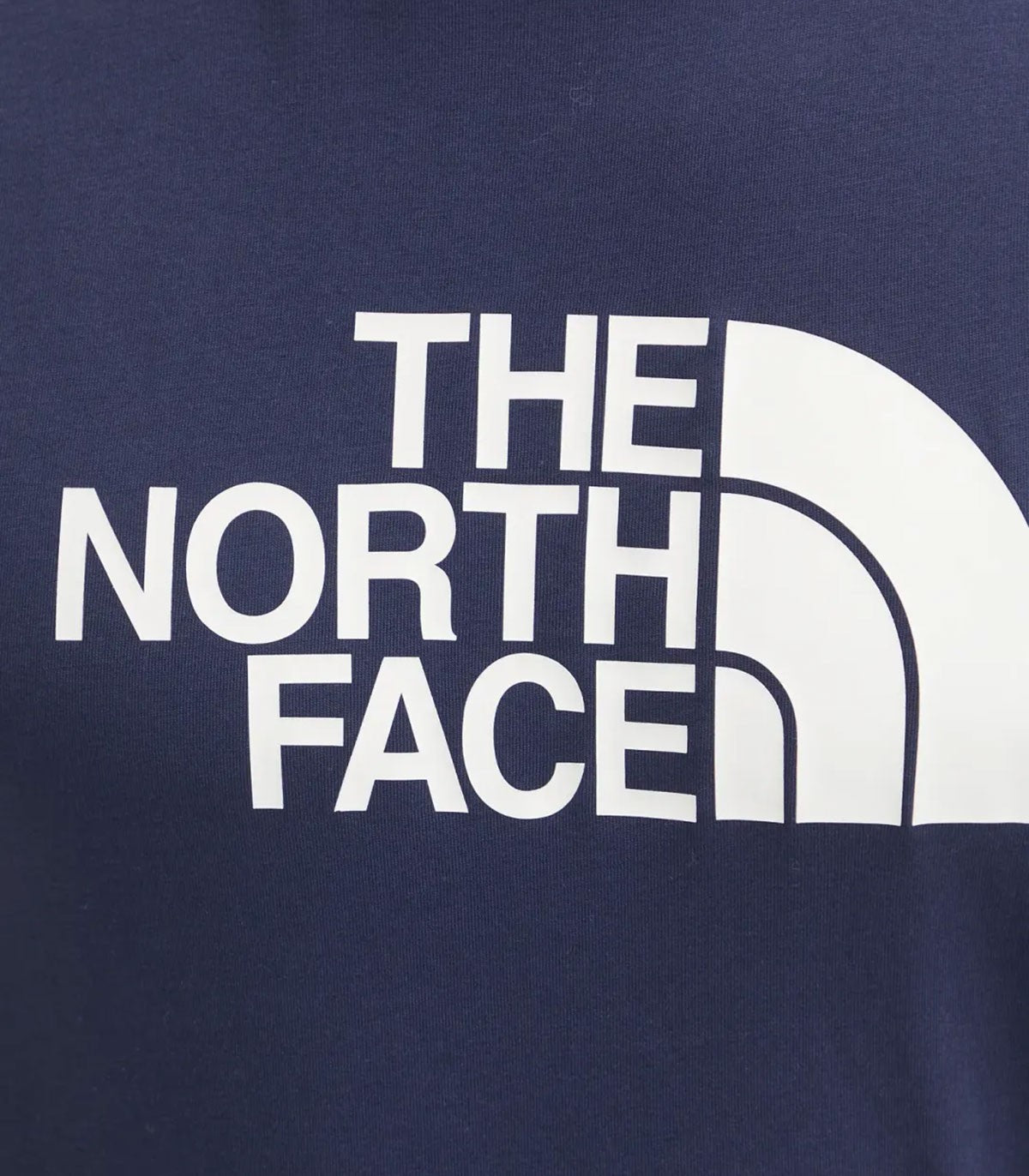 T-shirt Uomo The North Face Easy Tee