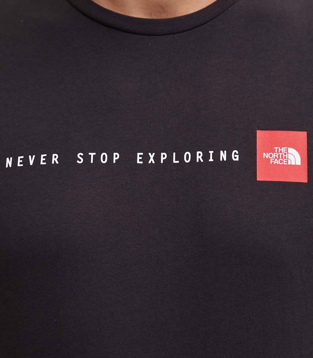 T-shirt uomo The North Face NSE