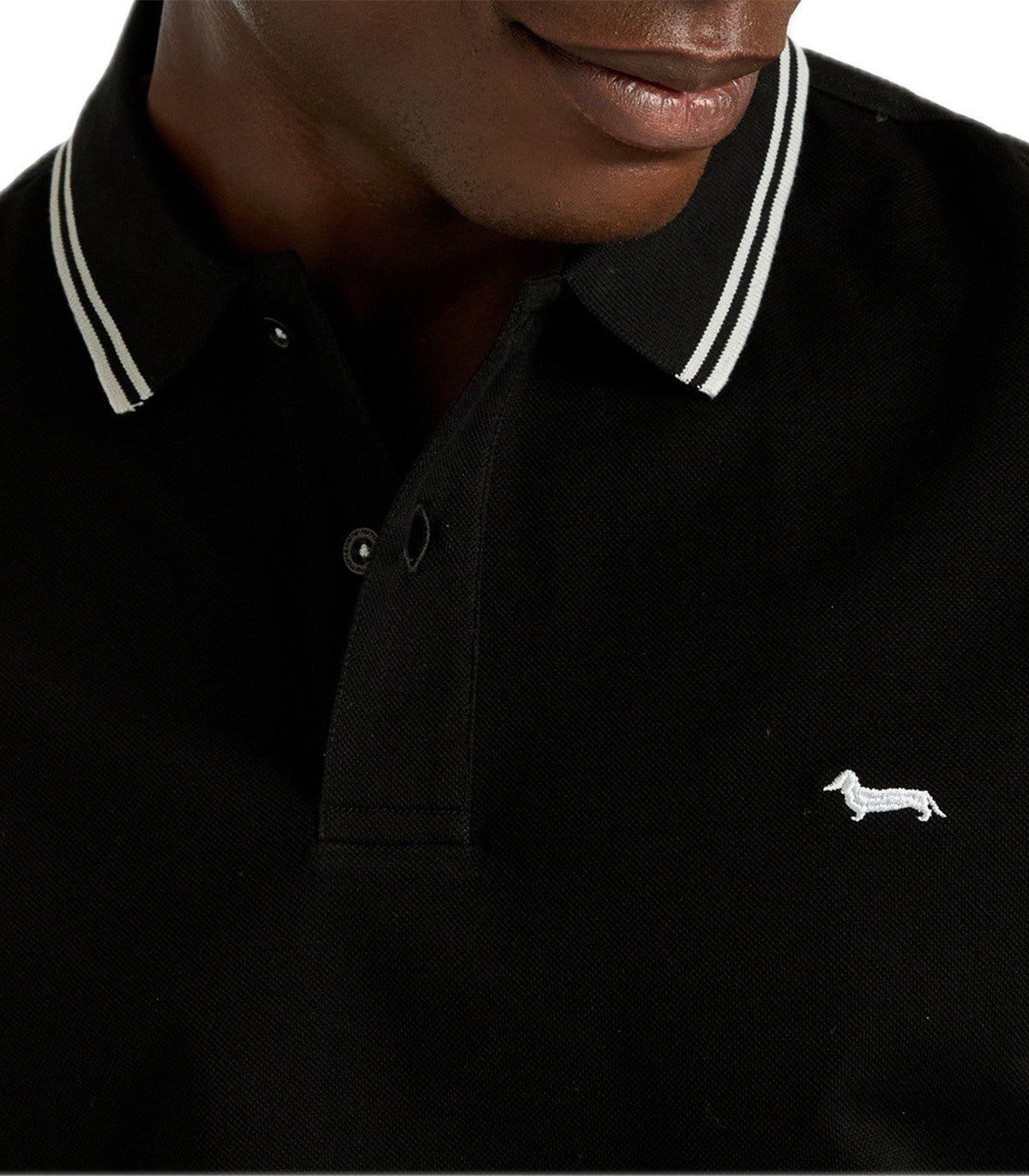 Polo Uomo Harmont Blaine