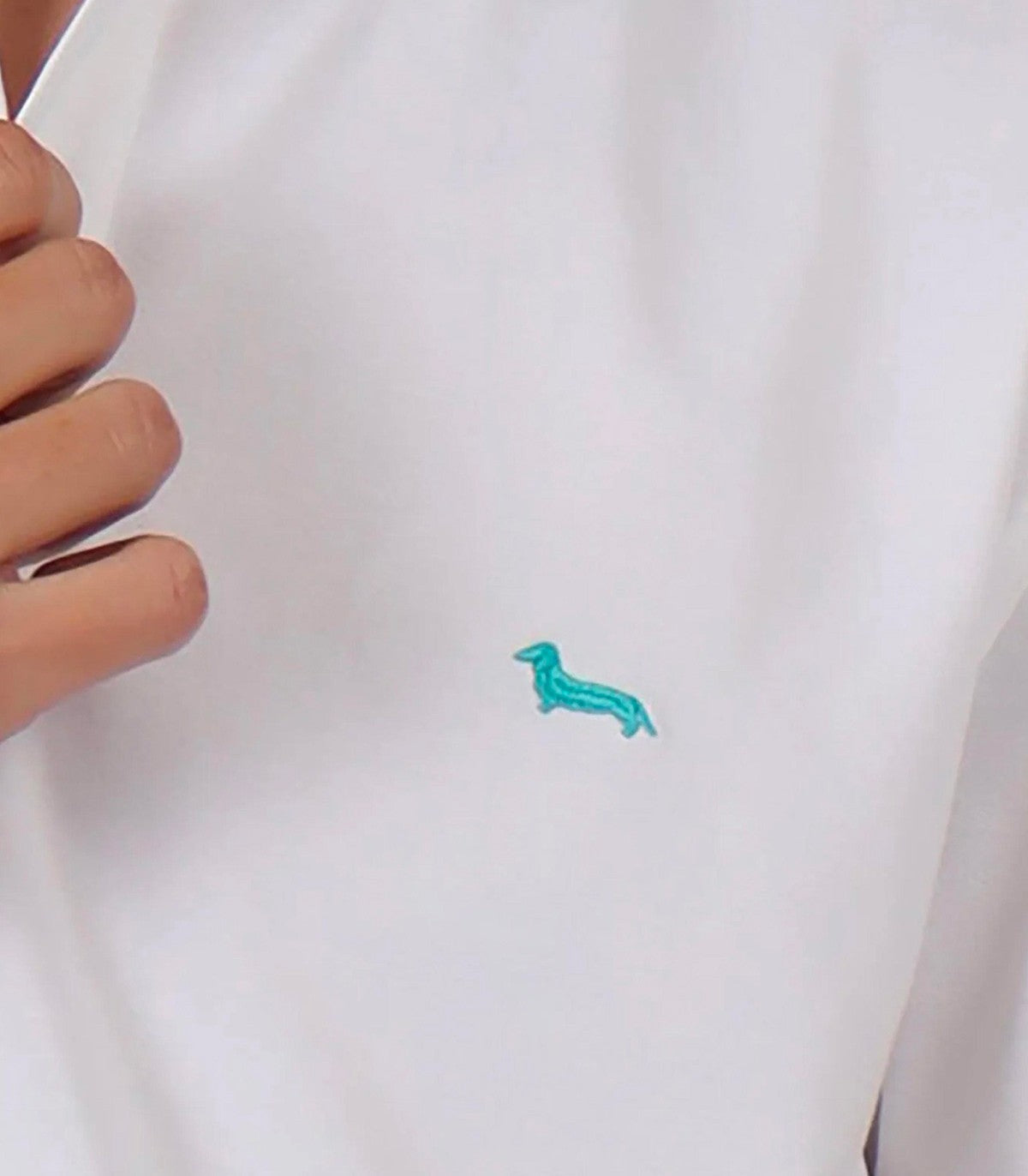 Polo Uomo Harmont Blaine