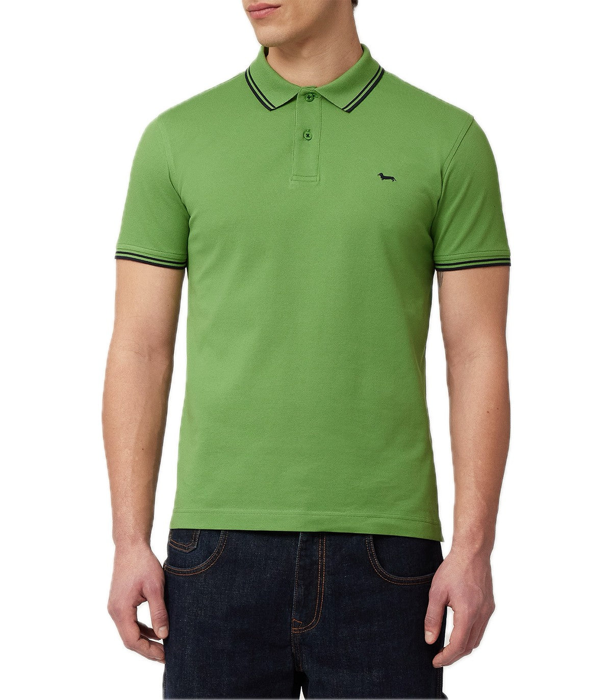 Polo Uomo Harmont Blaine