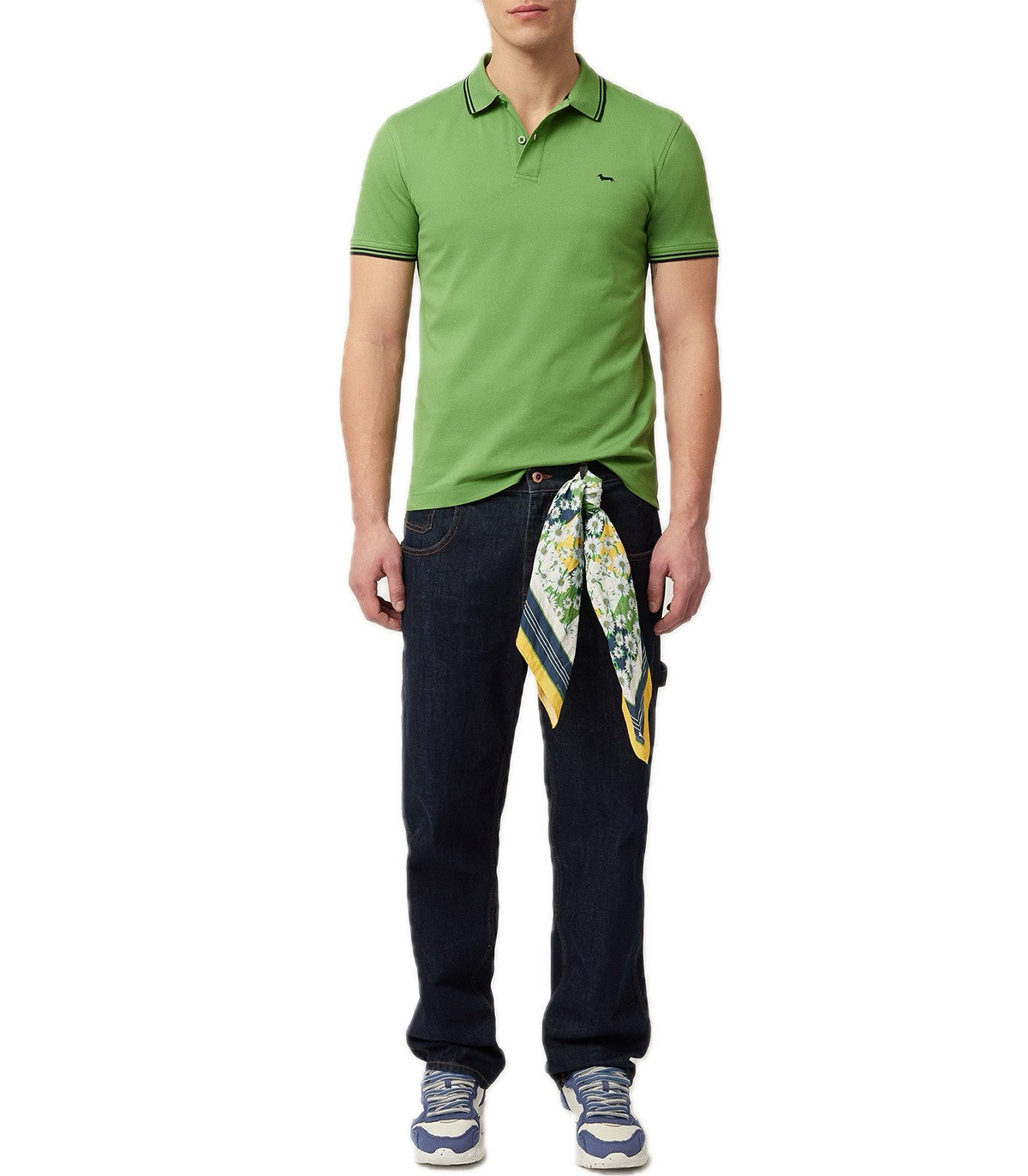 Polo Uomo Harmont Blaine