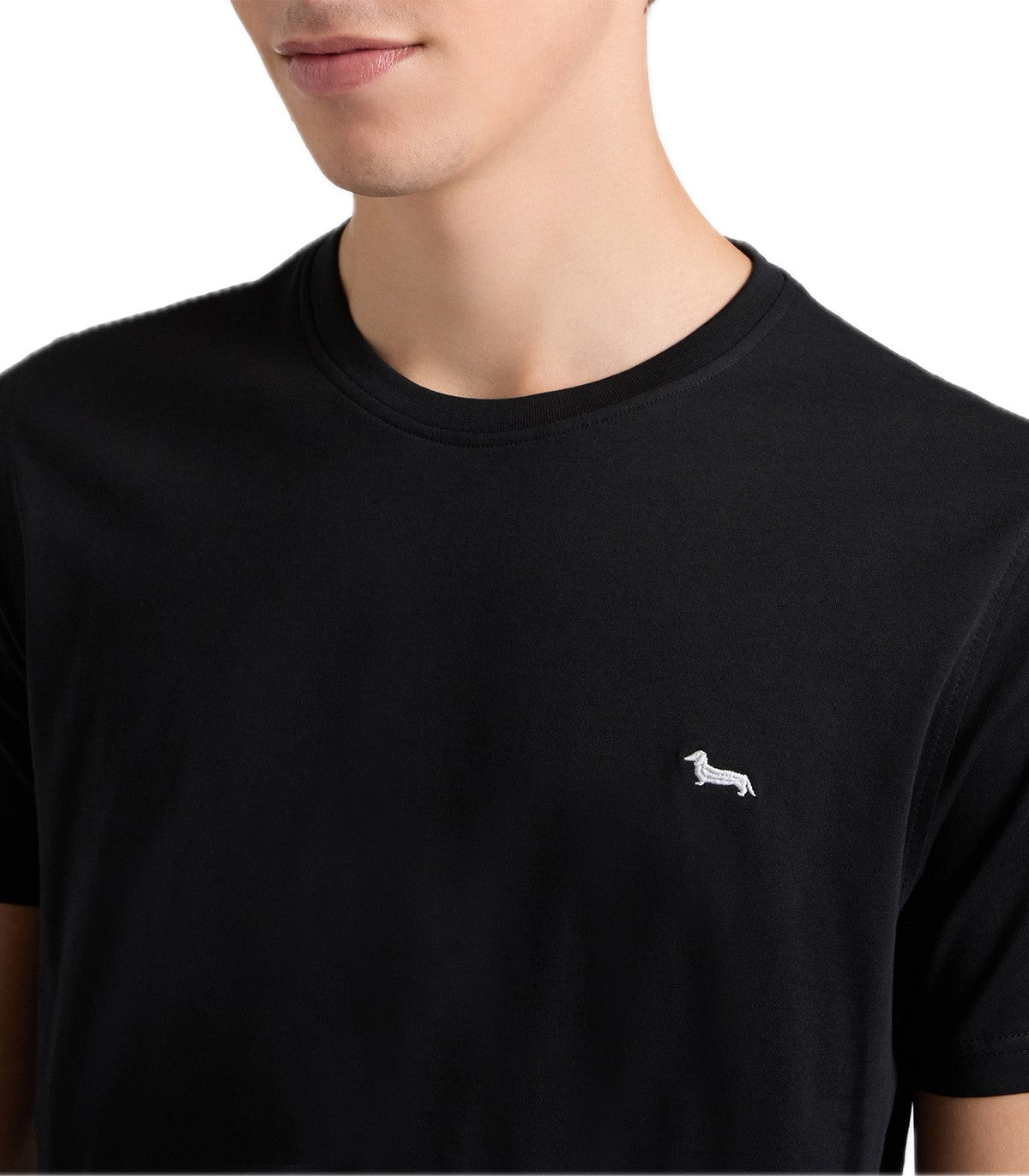 T-shirt Uomo Harmont Blaine