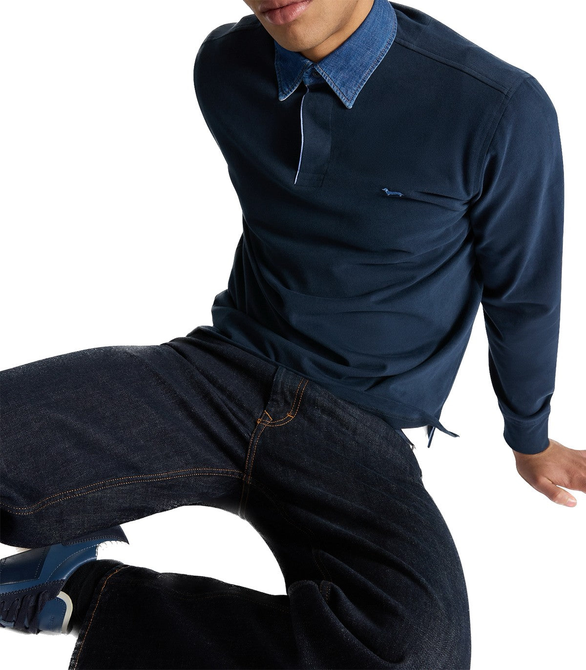 Polo Uomo Harmont Blaine