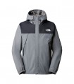 Giubbotto Uomo The North Face