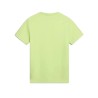 T-shirt Uomo Napapijri Salis