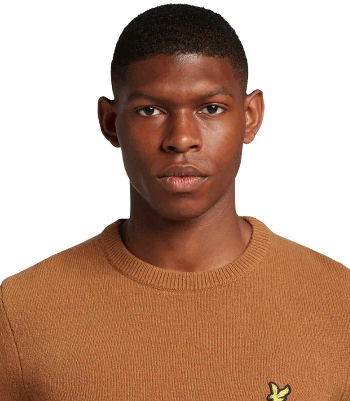 Maglione da Uomo Lyle Scott