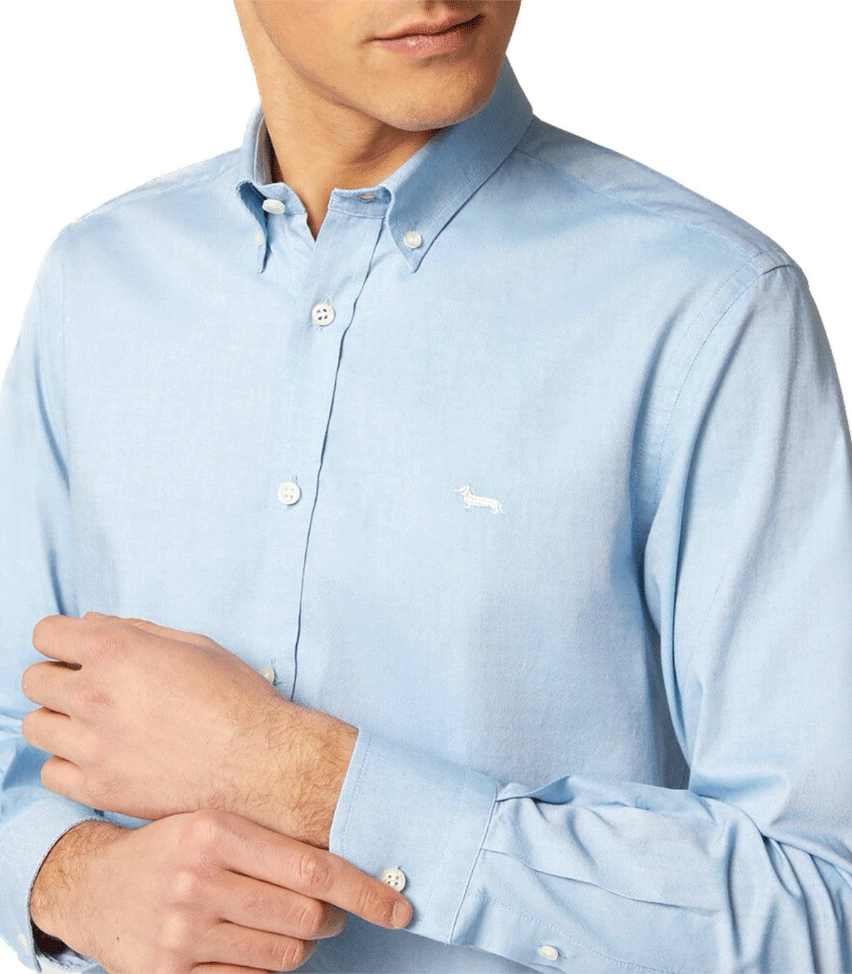 Camicia da Uomo in cotone extra size