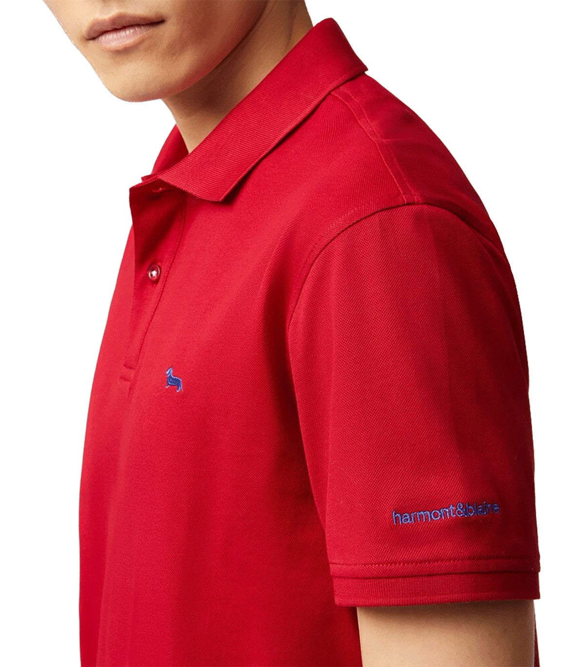 Polo da Uomo
