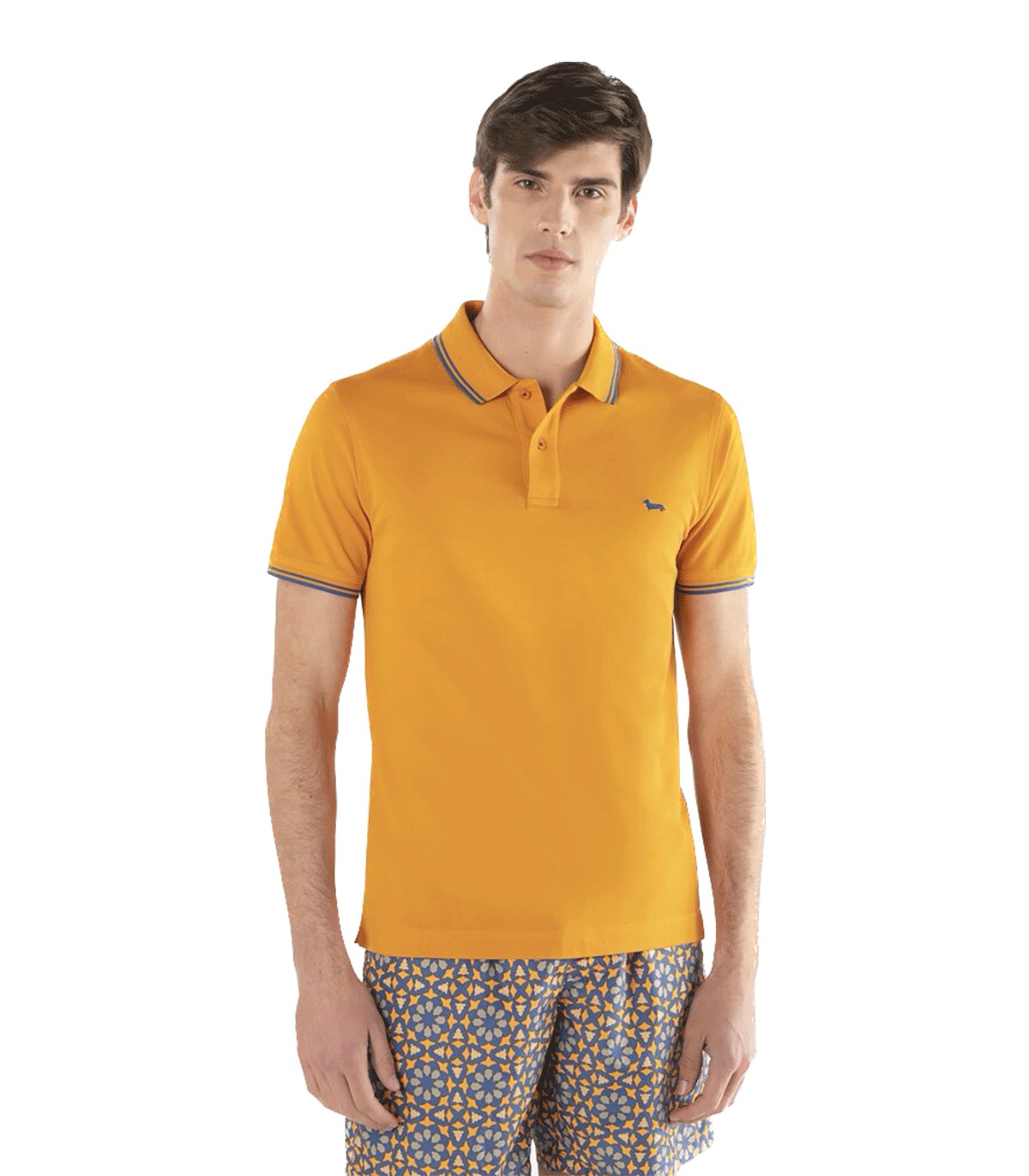 Polo da Uomo