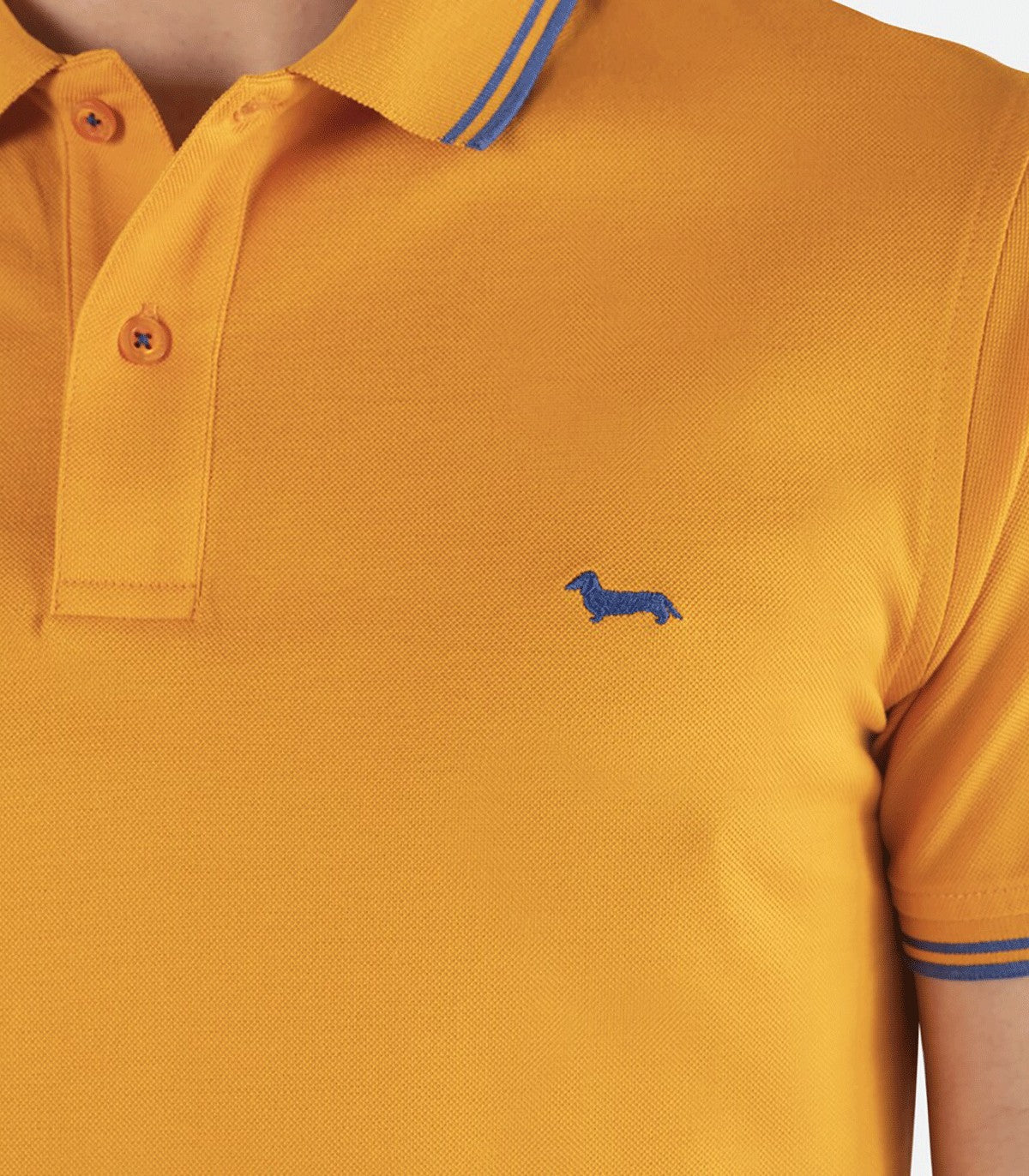 Polo da Uomo