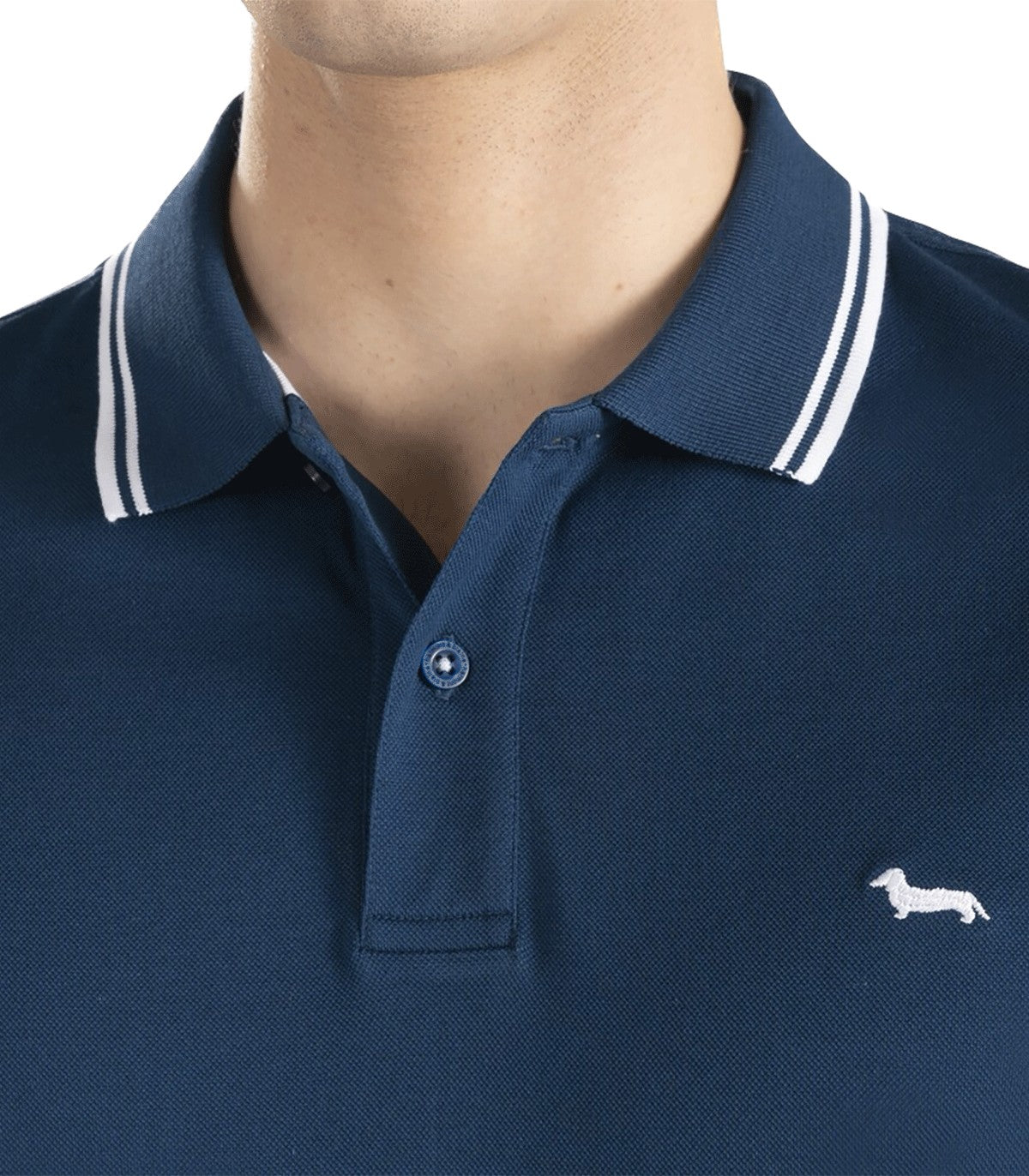 Polo da Uomo