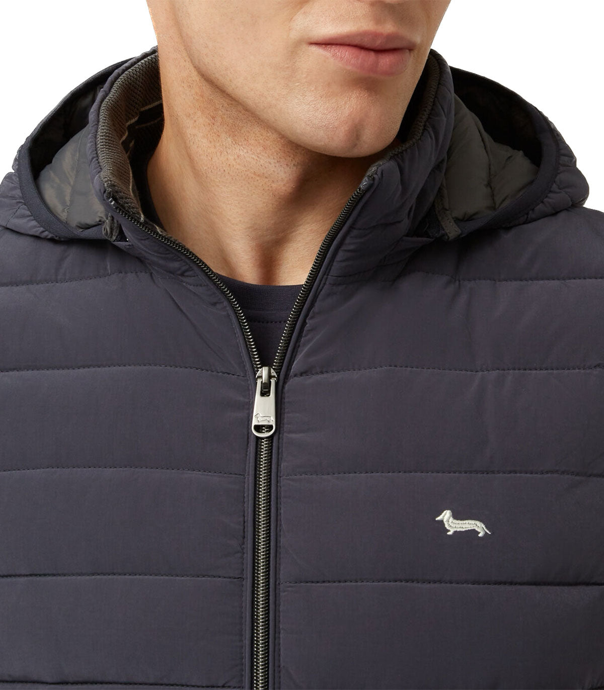 Gilet Uomo Harmont Blaine