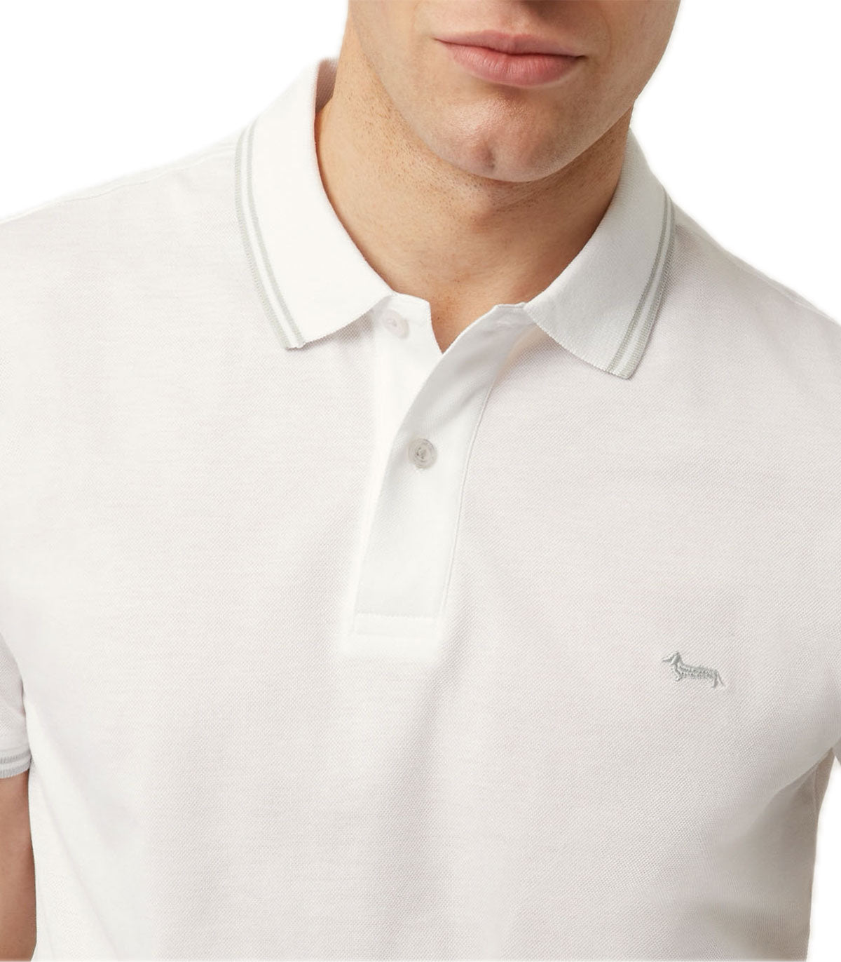 Polo Uomo Harmont&Blaine