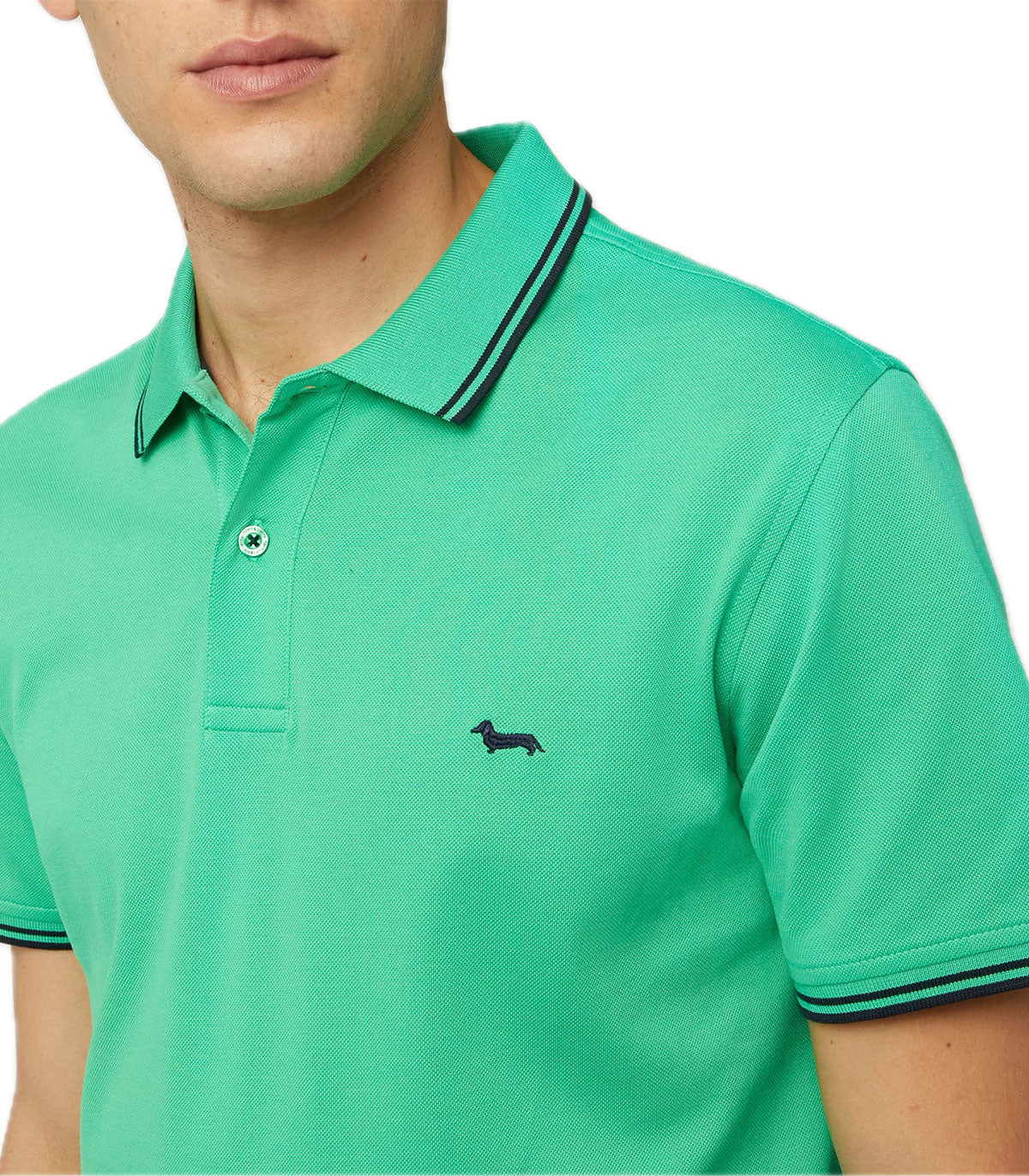 Polo Uomo Harmont&Blaine