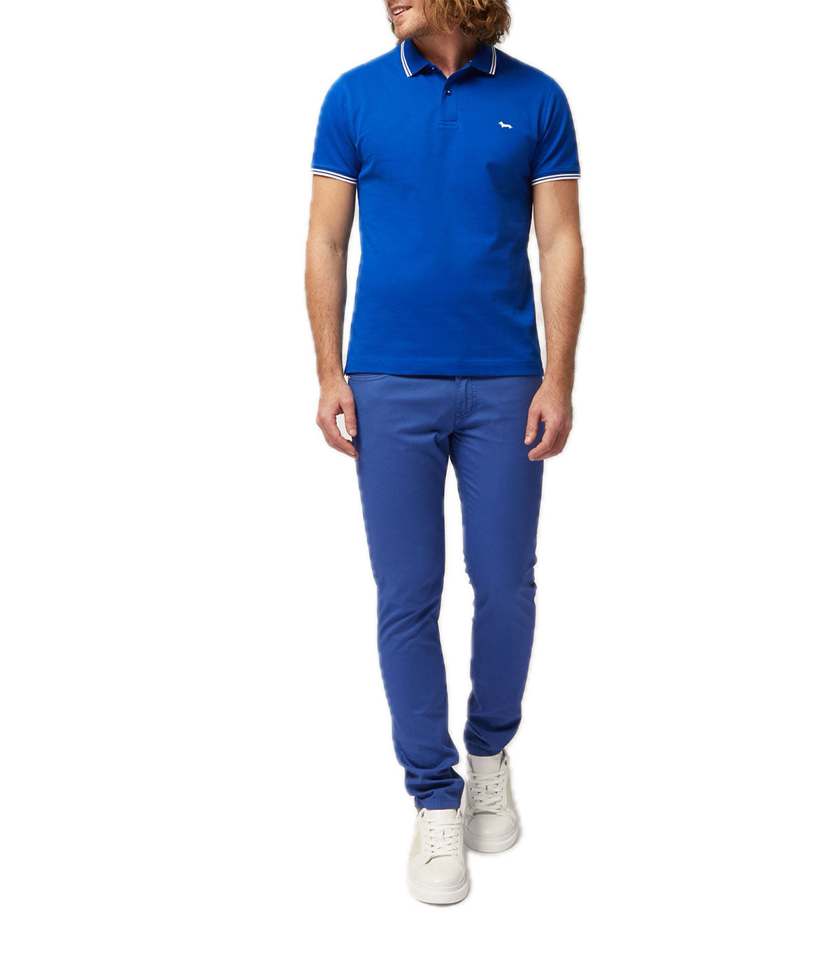Polo Uomo Harmont&Blaine