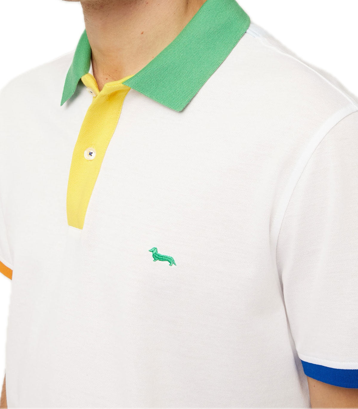 Polo Uomo Harmont&Blaine