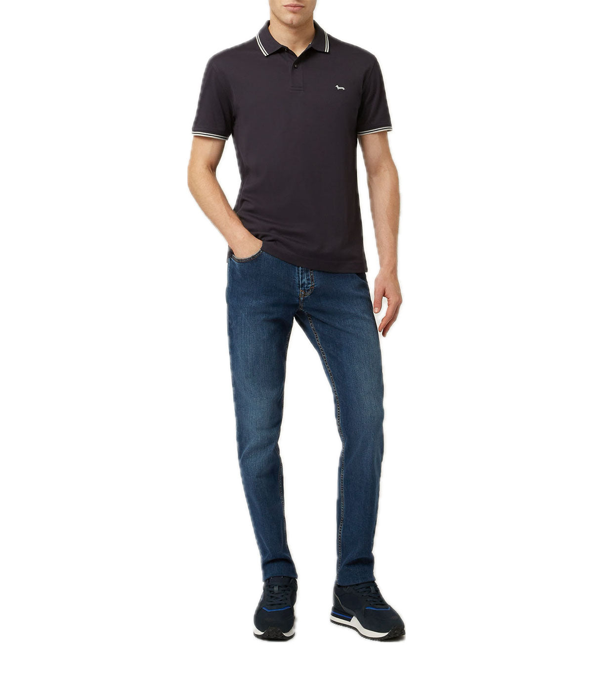 Polo Uomo Harmont&Blaine