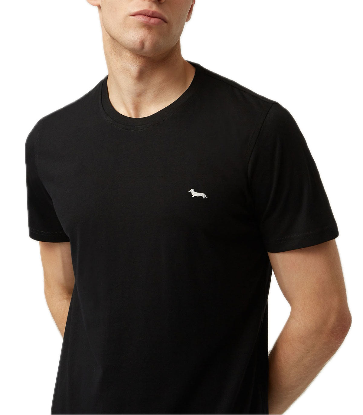 T-shirt Uomo Harmont&Blaine