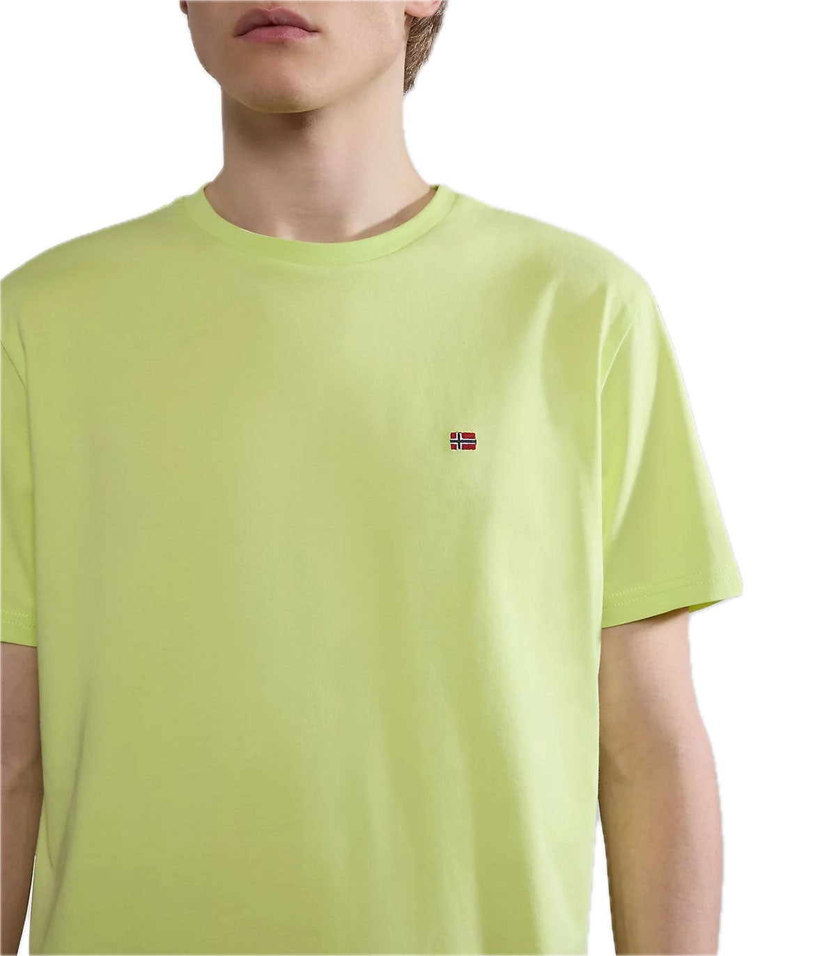 T-shirt Uomo Napapijri Salis