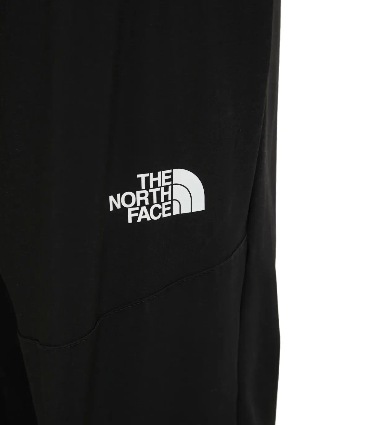 Pantaloni sportivi Uomo The North Face W