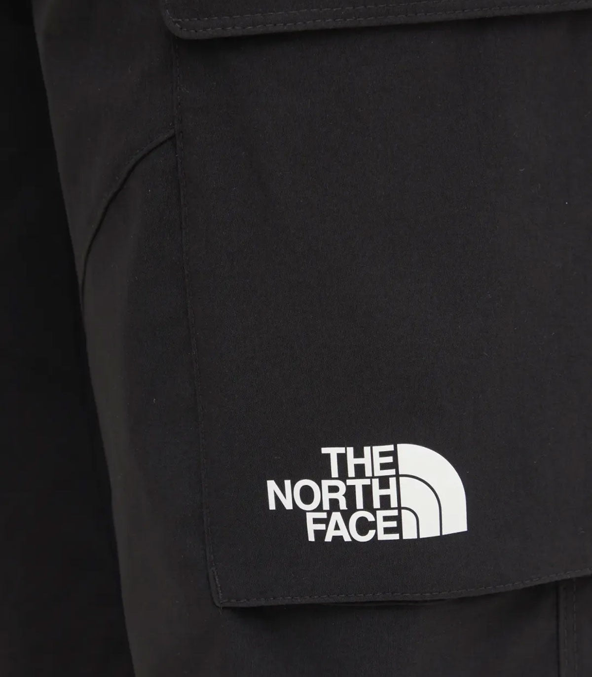 Bermuda cargo Uomo The North Face