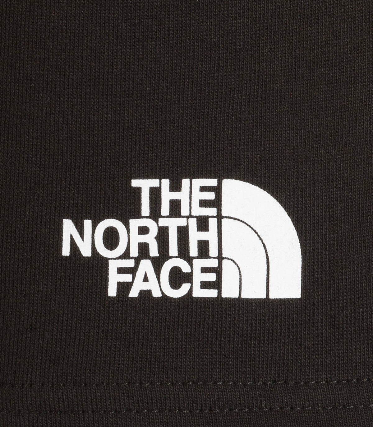 Bermuda Uomo The North Face Standard