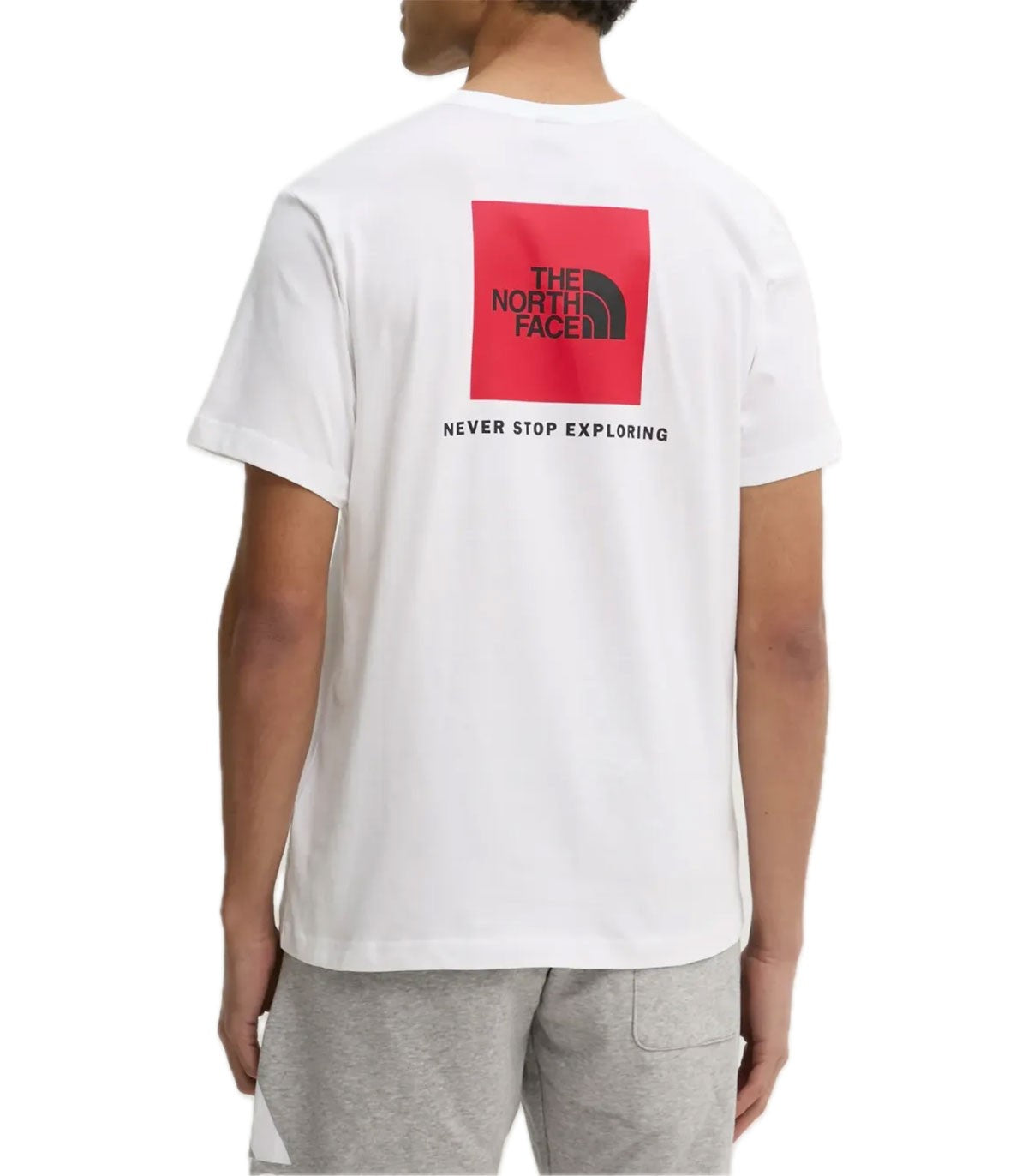T-shirt Uomo The North Face Box Nse