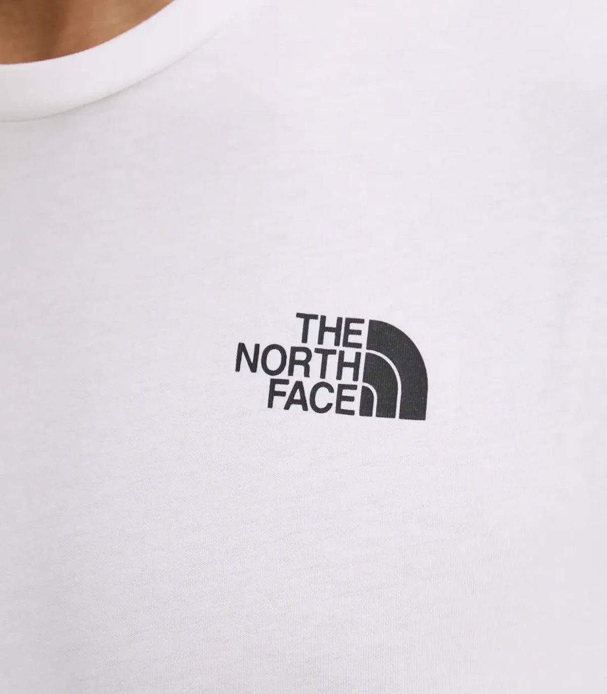 T-shirt Uomo The North Face Box Nse
