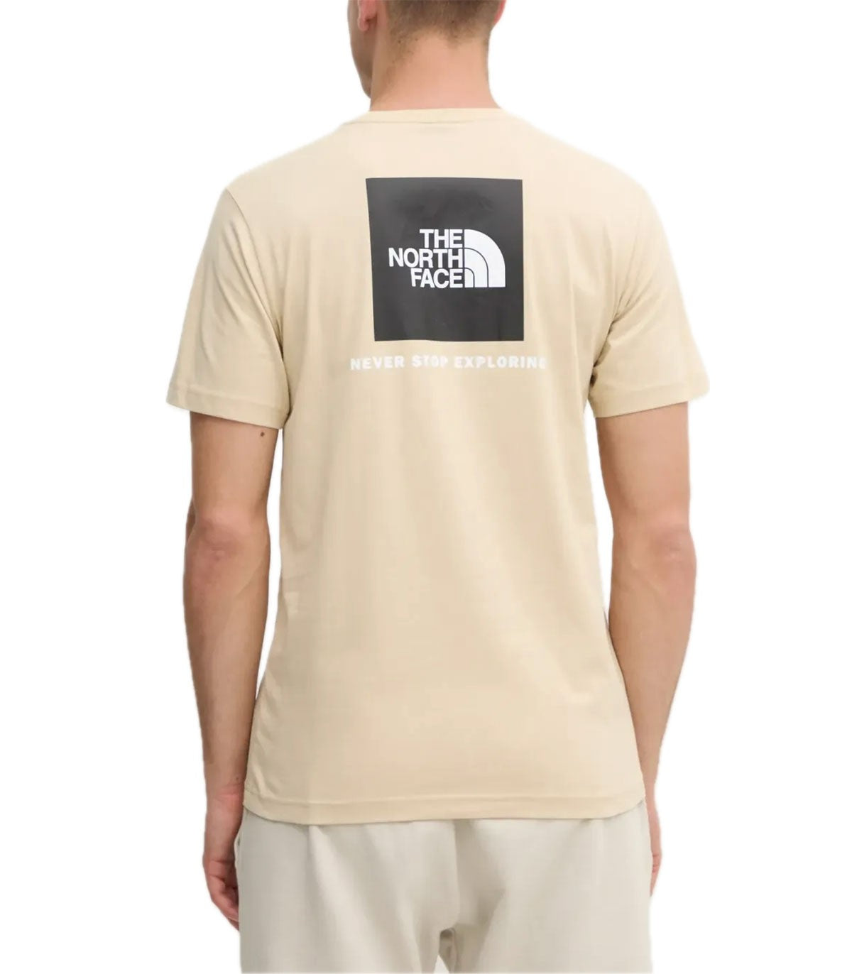 T-shirt Uomo The North Face Box nse tee
