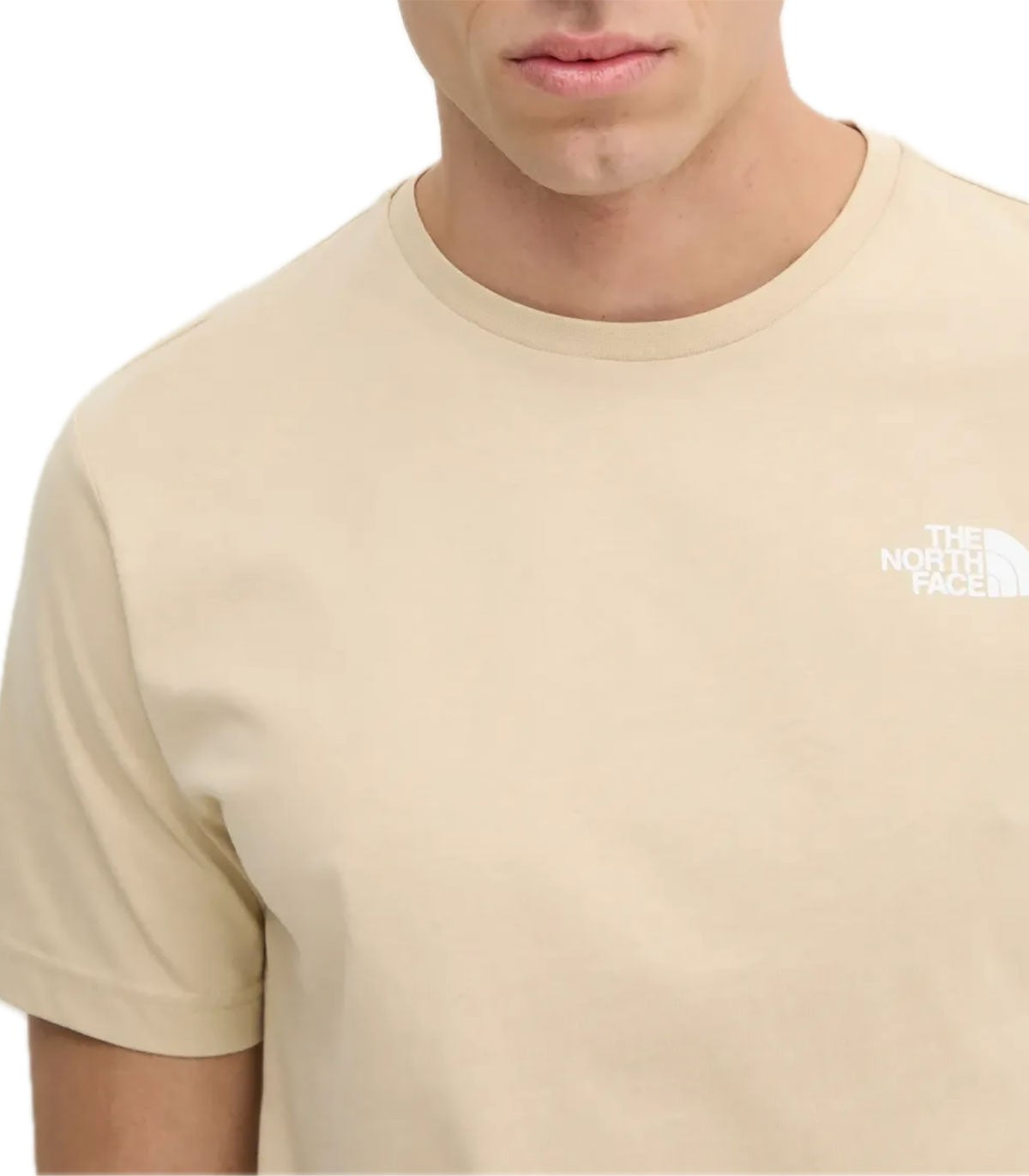 T-shirt Uomo The North Face Box nse tee