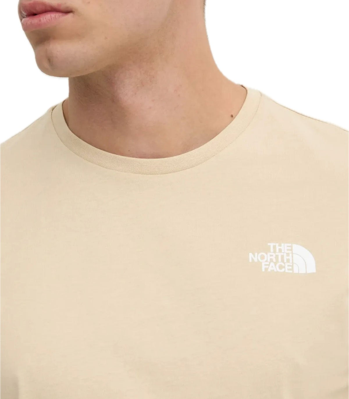 T-shirt Uomo The North Face Box nse tee