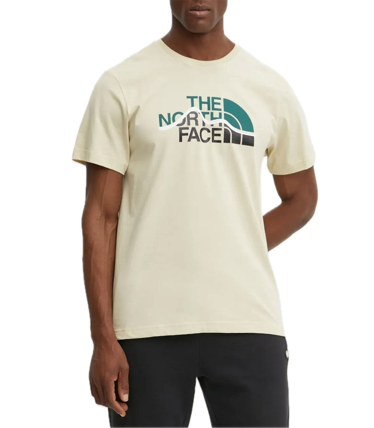 T-shirt Uomo The North Face Mountain