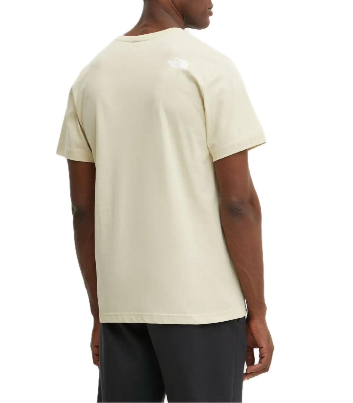 T-shirt Uomo The North Face Mountain
