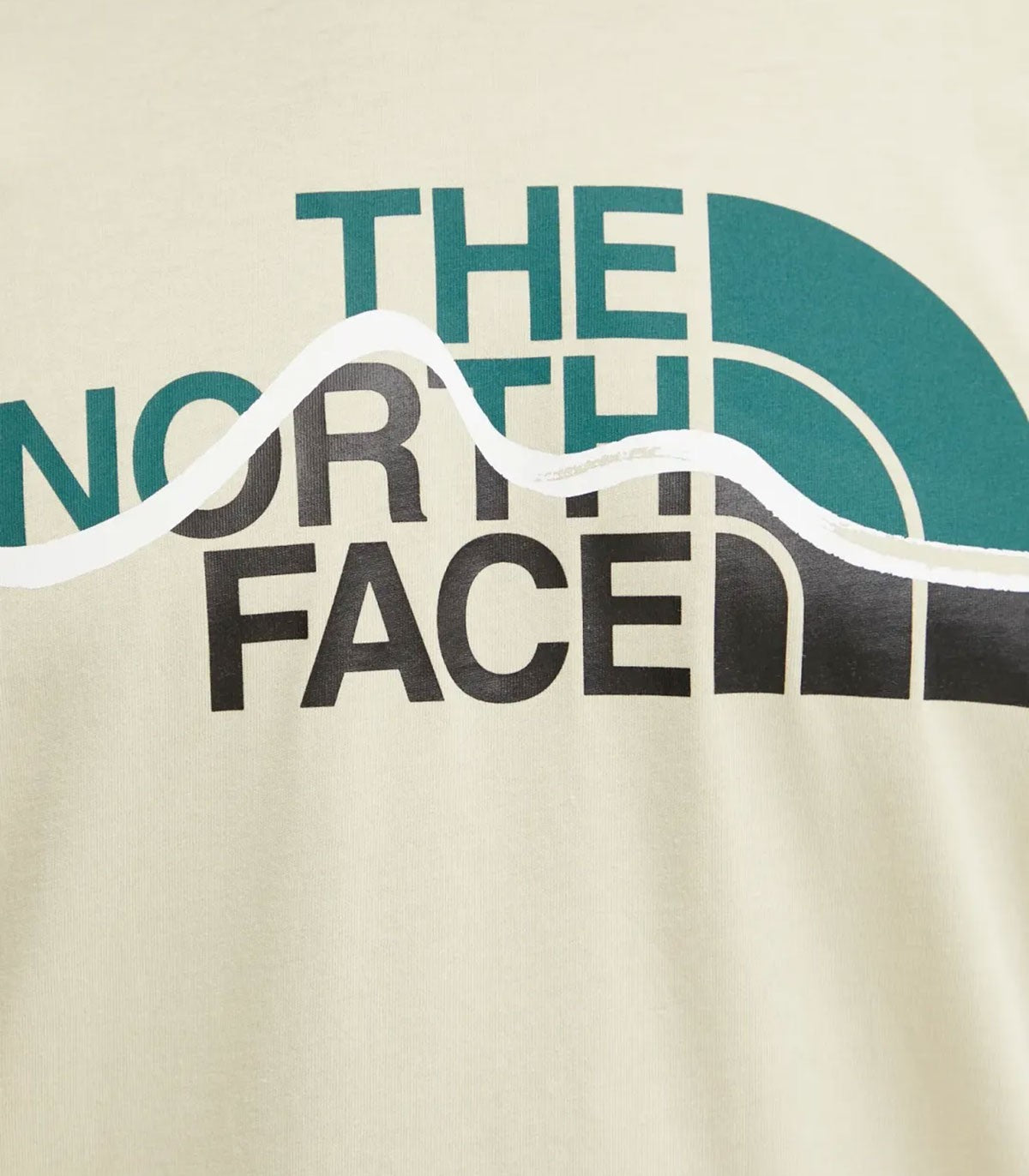 T-shirt Uomo The North Face Mountain