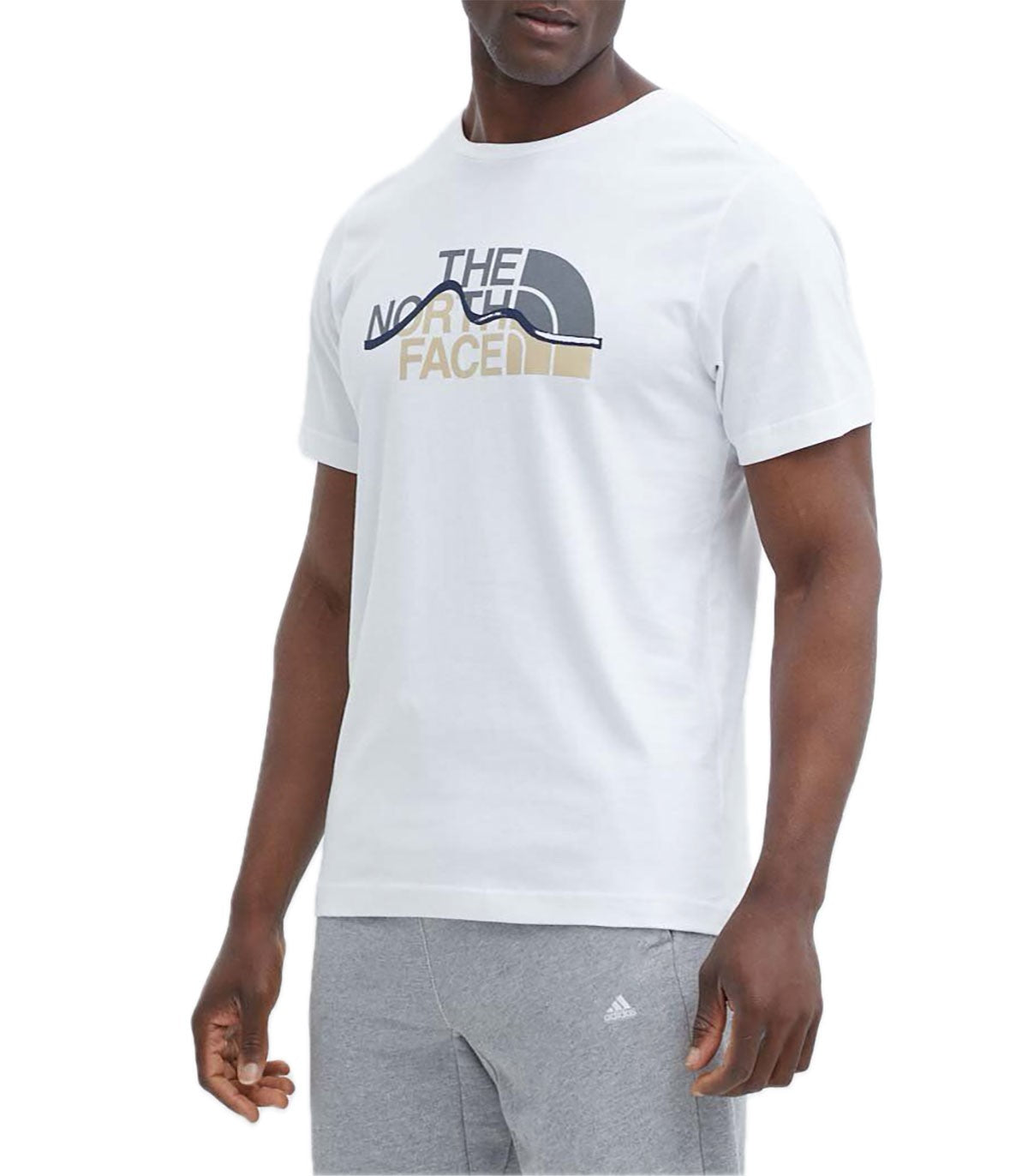 T-shirt Uomo The North Face Mountain