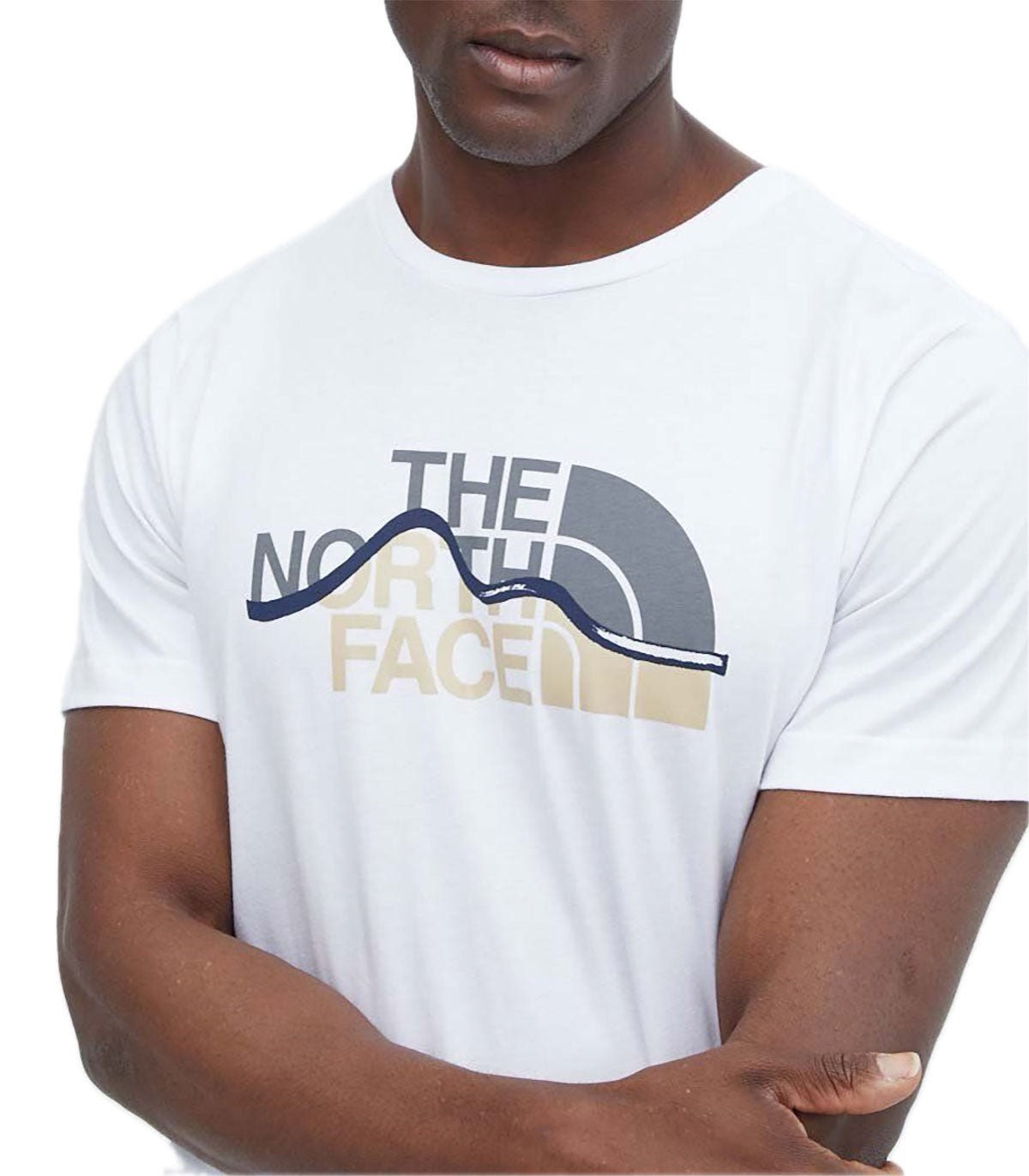 T-shirt Uomo The North Face Mountain