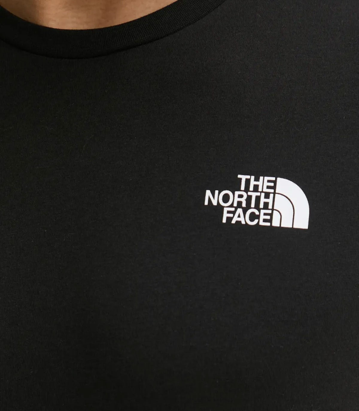 T-shirt Uomo The North Face Box Nse tee