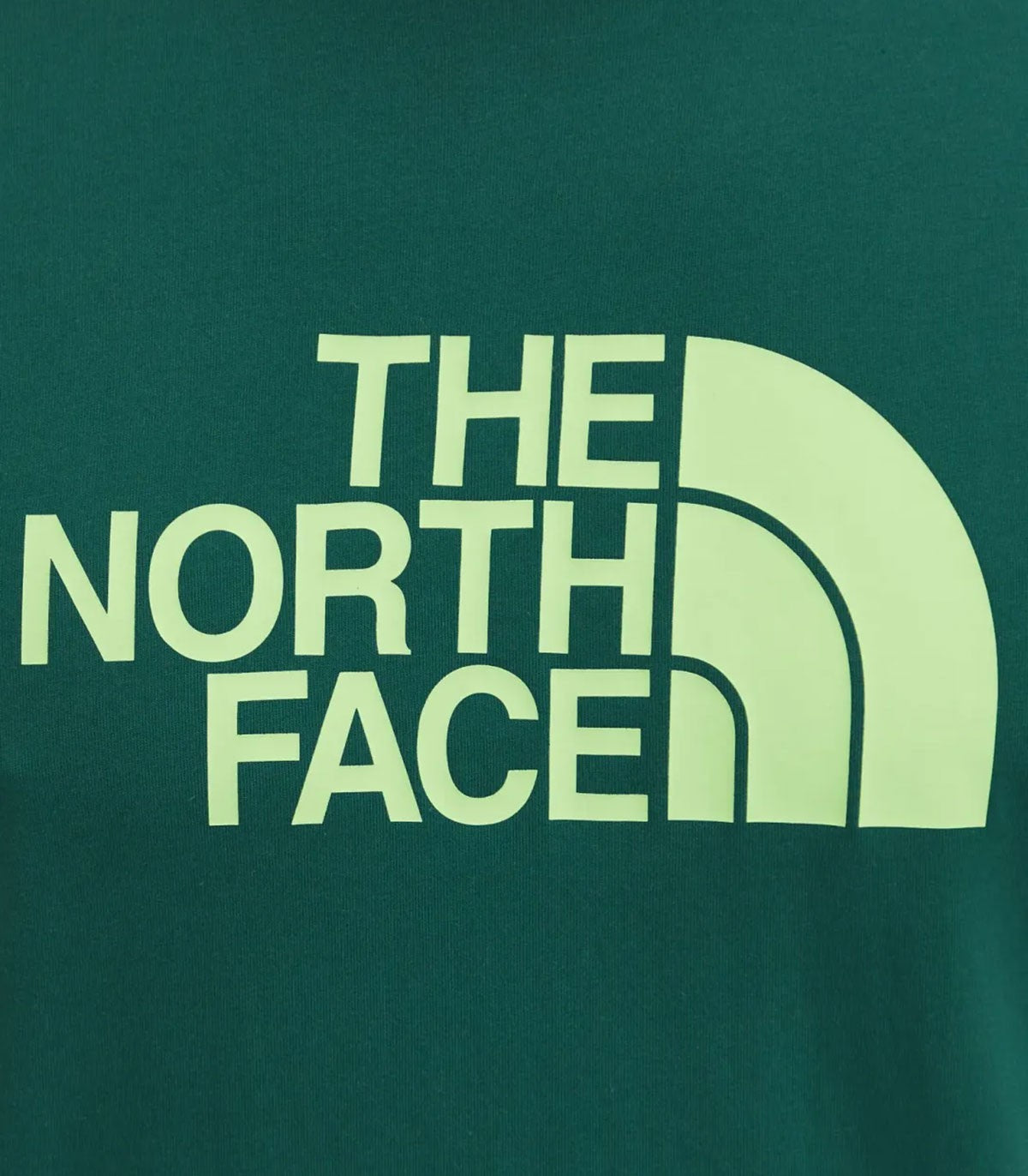 T-shirt Uomo The North Face Easy Tee