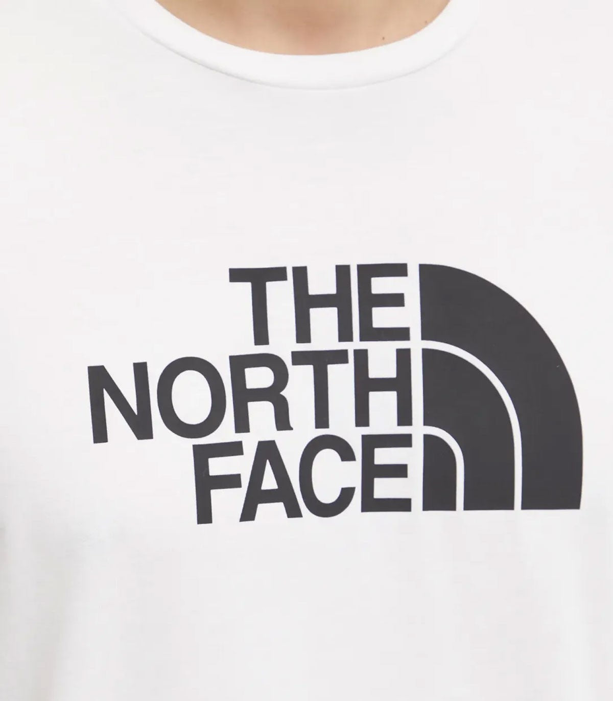 T-shirt Uomo The North Face Easy Tee