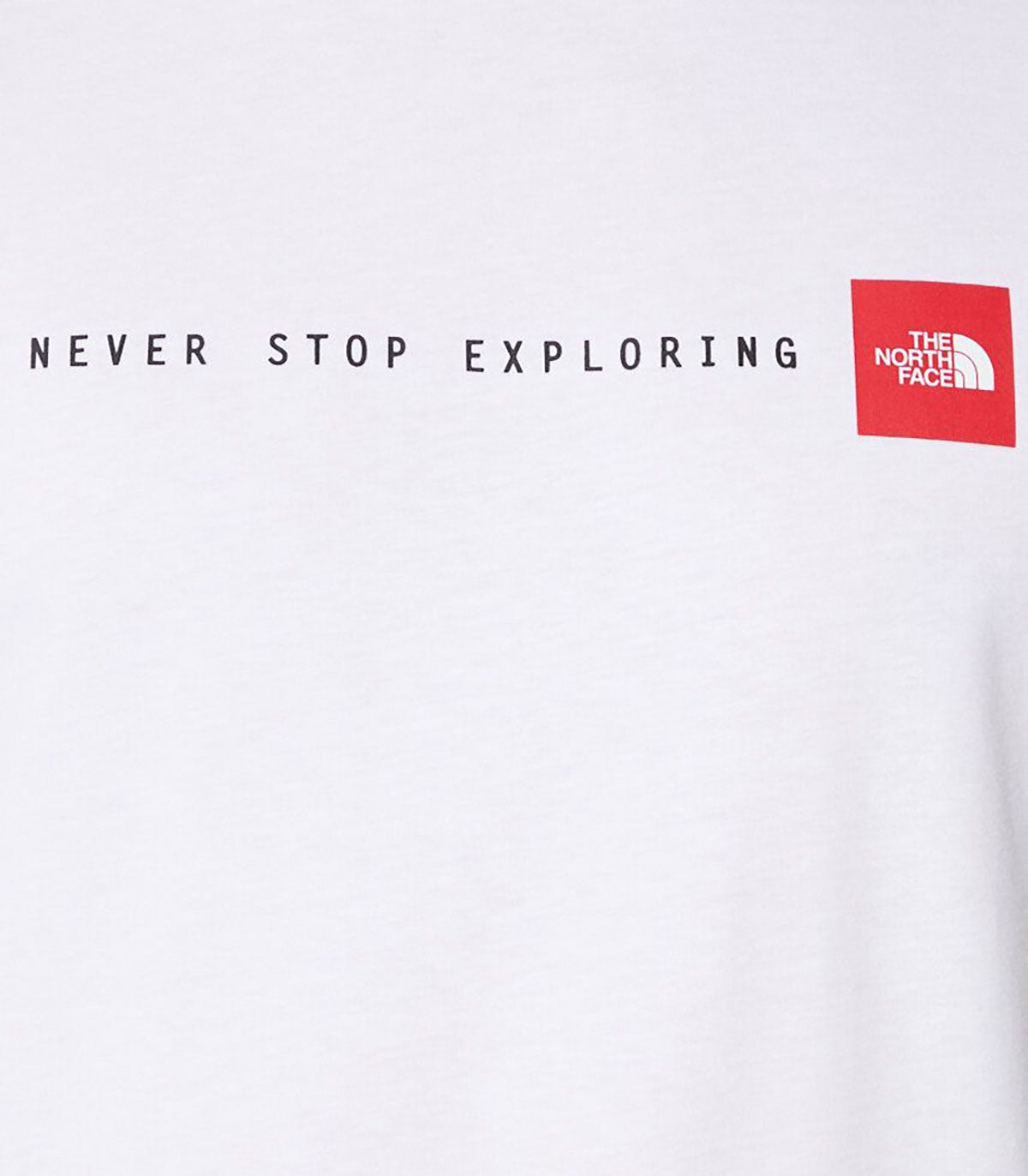 T-shirt uomo The North Face NSE